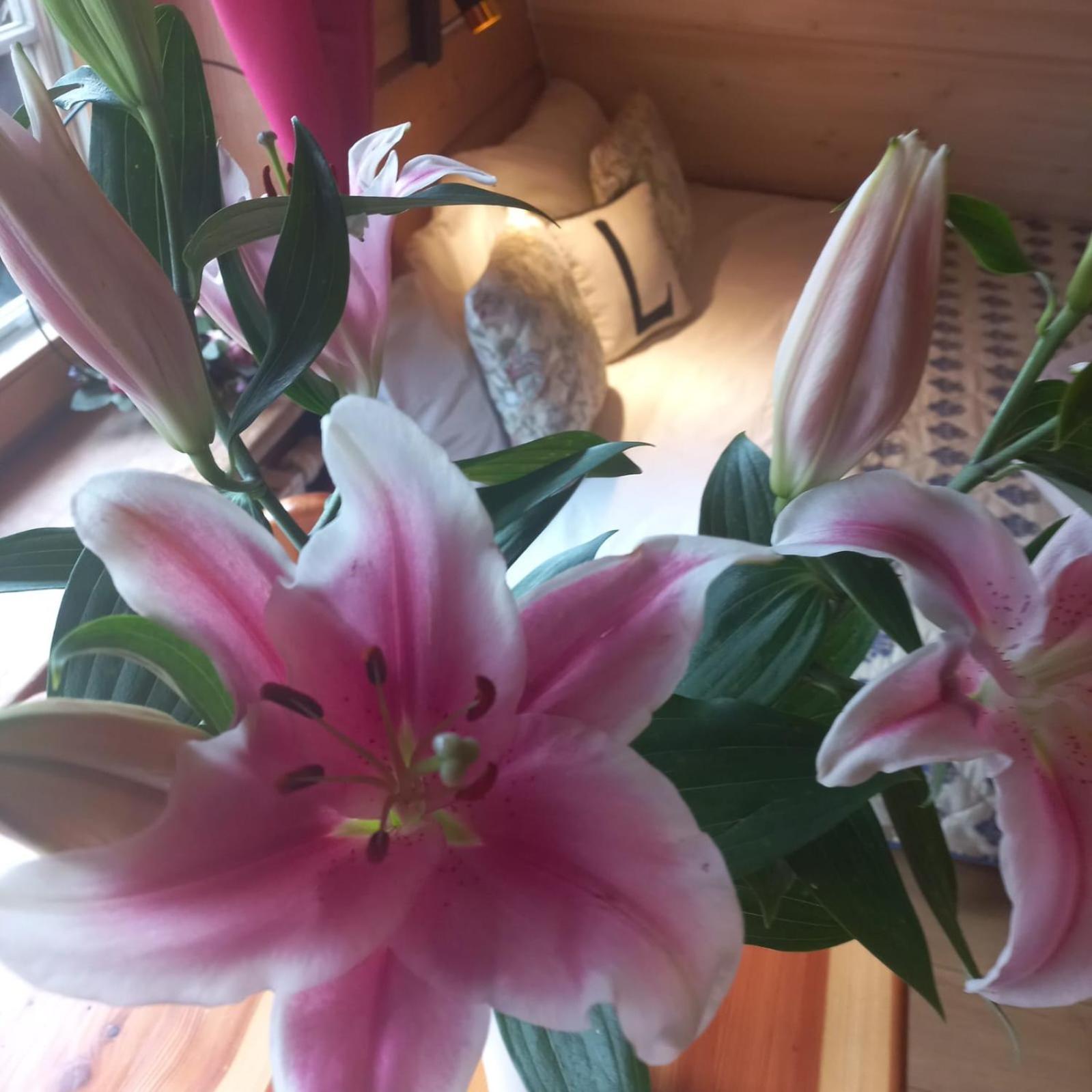 مبيت وإفطار Mizerna Lily Garden المظهر الخارجي الصورة
